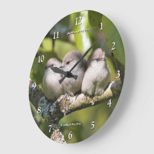 Grande Horloge Ronde Oiseaux Chanteurs Bébés Mésanges à Tête Noire dans