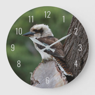 Grande Horloge Ronde Oiseaux de Kookaburra en train de rire