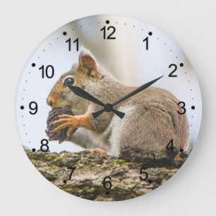 Grande Horloge Ronde Oiseaux d'écureuils Nature des bois