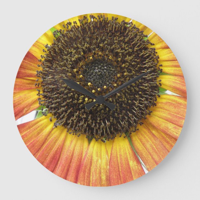 Grande Horloge Ronde Orange Sunflower Wall (Recto)