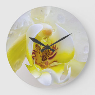 Grande Horloge Ronde Orchid Dew