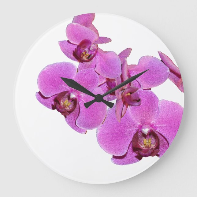 Grande Horloge Ronde Orchid Flowers (Recto)