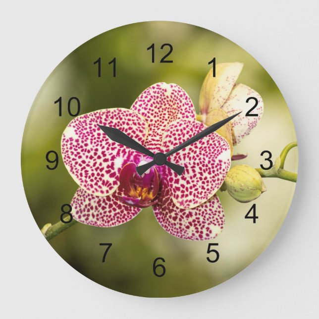 Grande Horloge Ronde Orchidée tachetée rose (Recto)