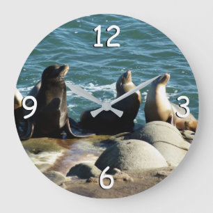 Grande Horloge Ronde Otaries de San Diego