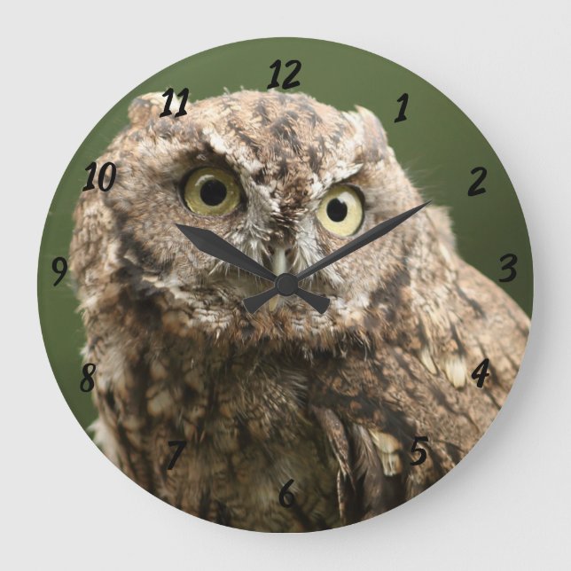 Grande Horloge Ronde Owl Clock (Recto)