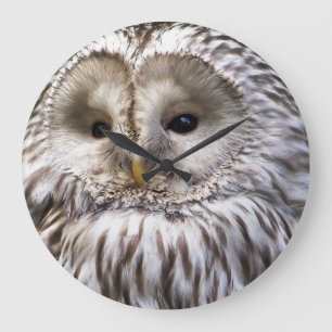GRANDE HORLOGE RONDE OWLS
