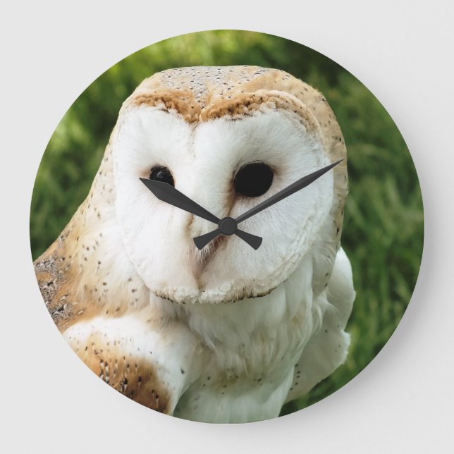 GRANDE HORLOGE RONDE OWLS (Recto)