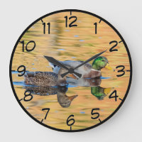 Paire de Mallards
