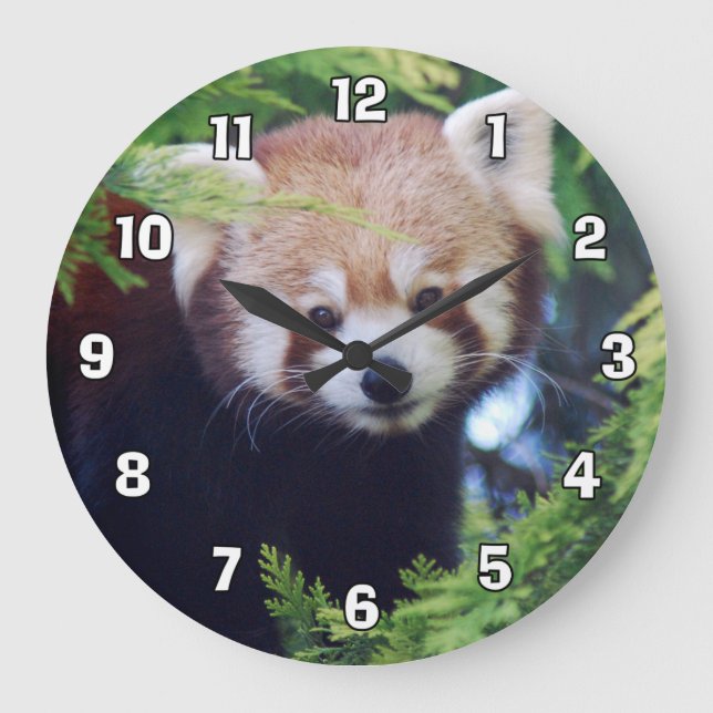 Grande Horloge Ronde Panda rouge (Recto)