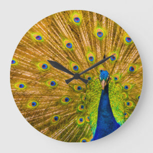 Grande Horloge Ronde Paon, Silver Falls, Kauai, Hawaï