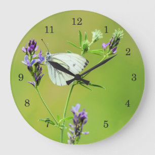 Grande Horloge Ronde Papillon Blanc à Veines Vertes