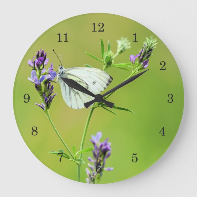 Grande Horloge Ronde Papillon Blanc à Veines Vertes (Recto)