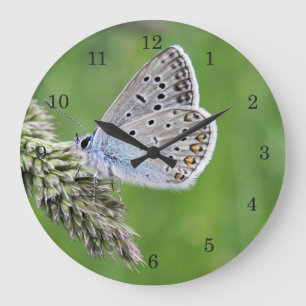 Grande Horloge Ronde Papillon bleu commun sur l'herbe