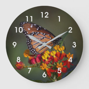 Grande Horloge Ronde Papillon de la reine sur l'algue tropicale