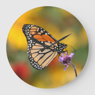 Grande Horloge Ronde Papillon monarque à la recherche de pollen