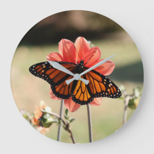 Grande Horloge Ronde Papillon monarque sur une Dahlia