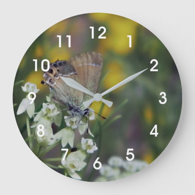 Grande Horloge Ronde Papillon skipper sur une fleur (Recto)