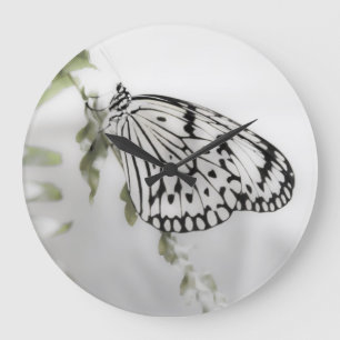 Grande Horloge Ronde Papillon sur une branche