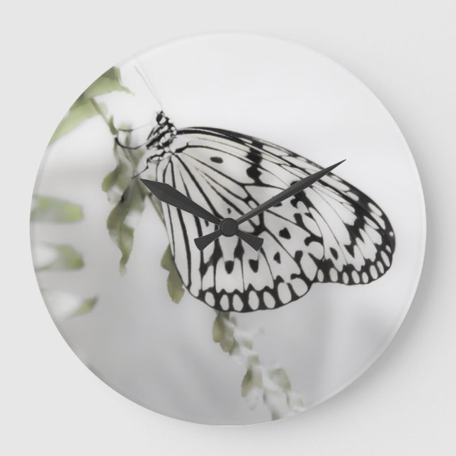 Grande Horloge Ronde Papillon sur une branche (Recto)