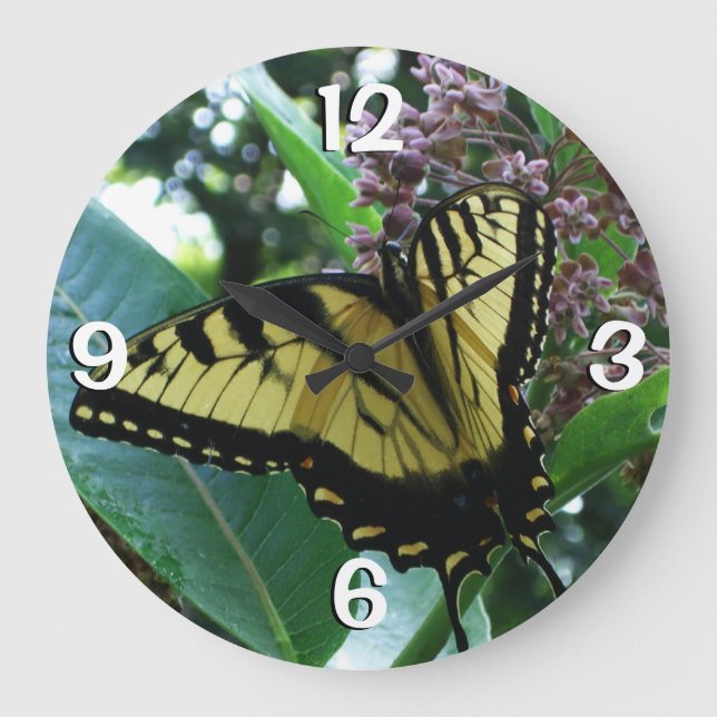 Grande Horloge Ronde Papillon Swallowtail I sur Milkweed à Shenandoah (Recto)
