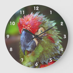 Grande Horloge Ronde Parrot Wall Clocks