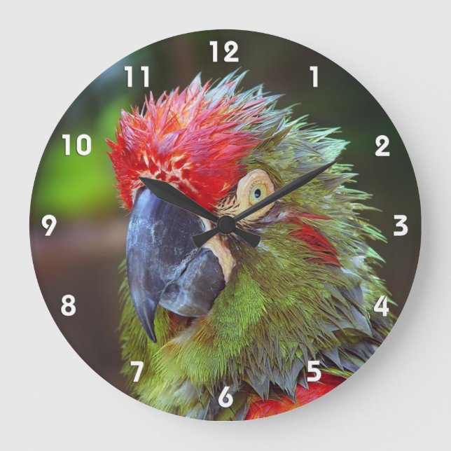 Grande Horloge Ronde Parrot Wall Clocks (Recto)