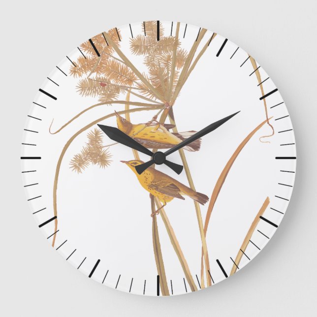 Grande Horloge Ronde Paruline des Prairies Audubon Oiseau jaune (Recto)