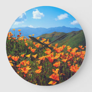 Grande Horloge Ronde Pavot de Californie recouvrant une colline