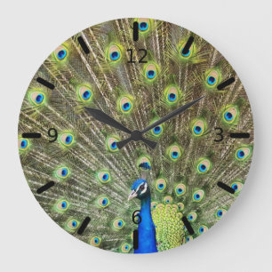 Grande Horloge Ronde Peacock feathers