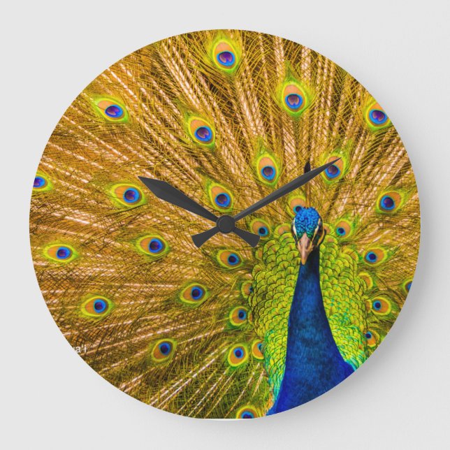 Grande Horloge Ronde Peacock, Silver Falls, Kauai, Hawaii (Recto)