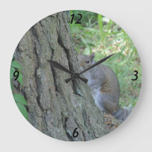 Grande Horloge Ronde Peek A Boo Squirrél -