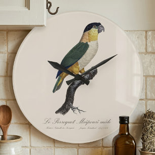 Grande Horloge Ronde Perroquet Maipouri  / Perroquet à tête noire 
