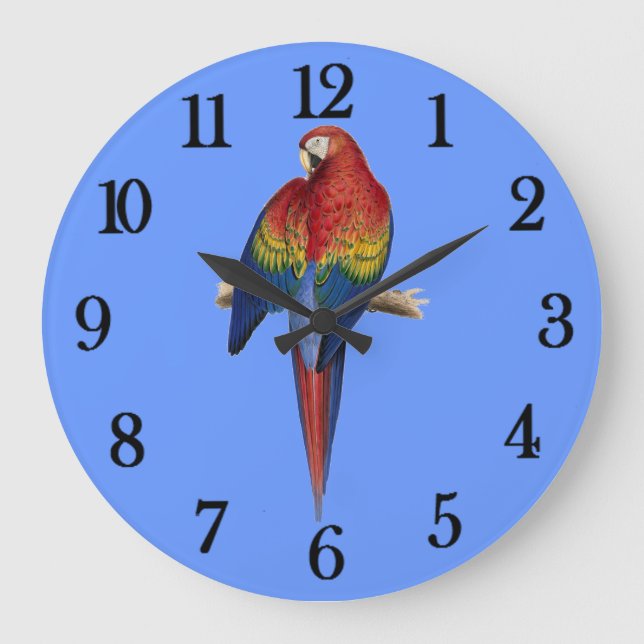 Grande Horloge Ronde Perroquet rouge (Recto)