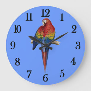 Grande Horloge Ronde Perroquet Rouge Fond Bleu