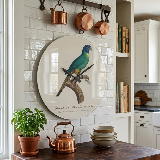 Grande Horloge Ronde Perruche a tete bleue / Rainbow lorikeet, juvénile (Perruche a tete bleue / Rainbow lorikeet, juvenile. Large Clock)