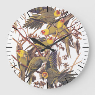 Grande Horloge Ronde Perruche Audubon Carolina