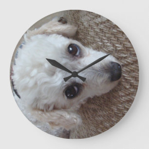 Grande Horloge Ronde Petit Chien de caniche blanc