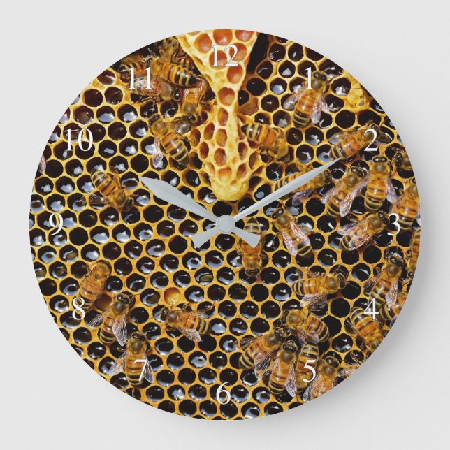 Grande Horloge Ronde Petit nombre d'abeilles et d'abeilles (Recto)