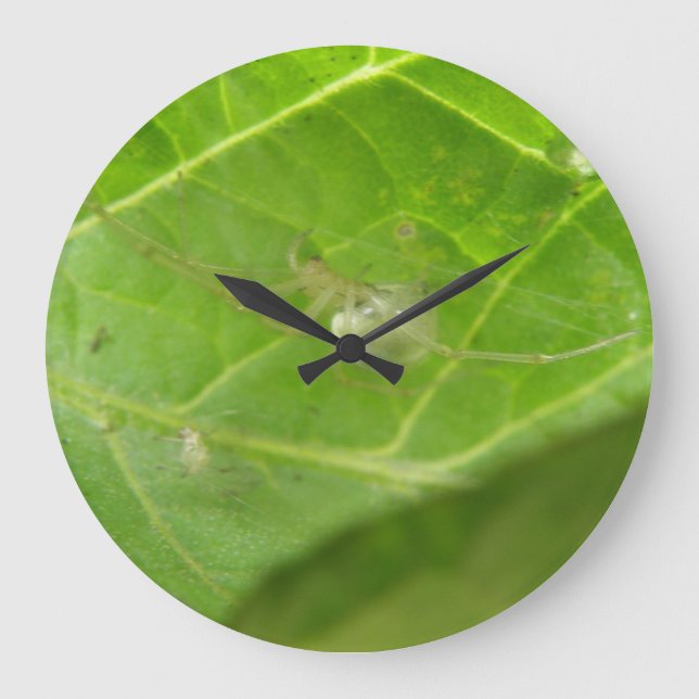Grande Horloge Ronde Petit Spider Wall Clock (Recto)