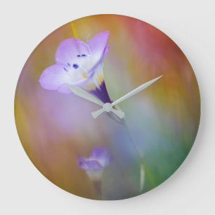 Grande Horloge Ronde Phare de Old Point Loma  Monument à Cabrillo