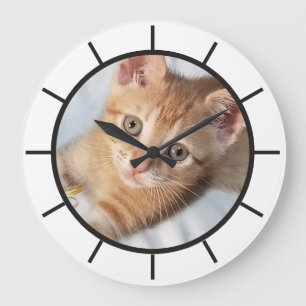 Grande Horloge Ronde Photo. Chat, Texte, remplaçable, Drôle