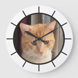 Grande Horloge Ronde Photo de chat, remplaçable, Drôle