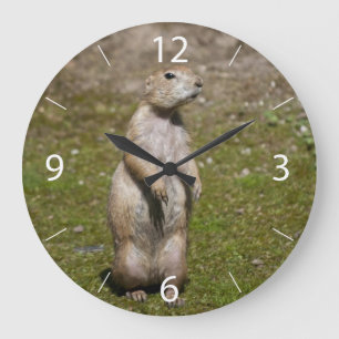 Grande Horloge Ronde Photo de faune de chien de prairie à queue noire