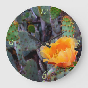 Grande Horloge Ronde Photo de Flower