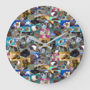 Grande Horloge Ronde Photo de Guinée Pig, Large Wall Clock