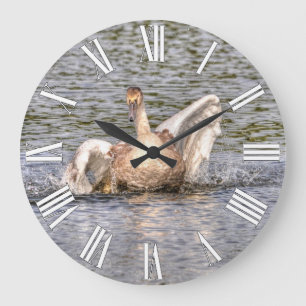 Grande Horloge Ronde Photo de la sauvagine de la faune du cygne muet