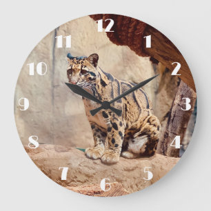 Grande Horloge Ronde photo de léopard nuageux nature faune exotique