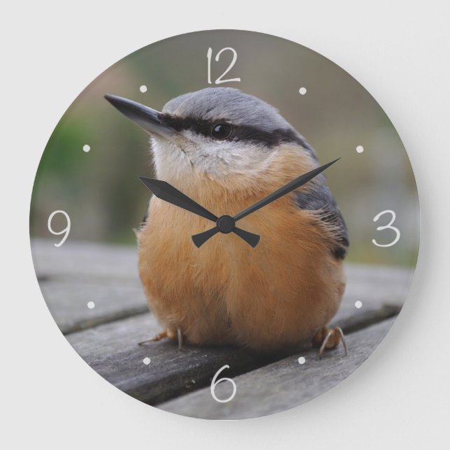 Grande Horloge Ronde Photo Nuthatch (Recto)
