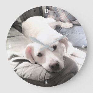 Grande Horloge Ronde Photo of Dog Sitting Next to Best Friend Blue