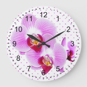Grande Horloge Ronde Photographie de fermeture d'orchidées radiantes